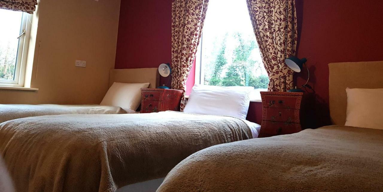 Ethan Cottage Killarney Dış mekan fotoğraf