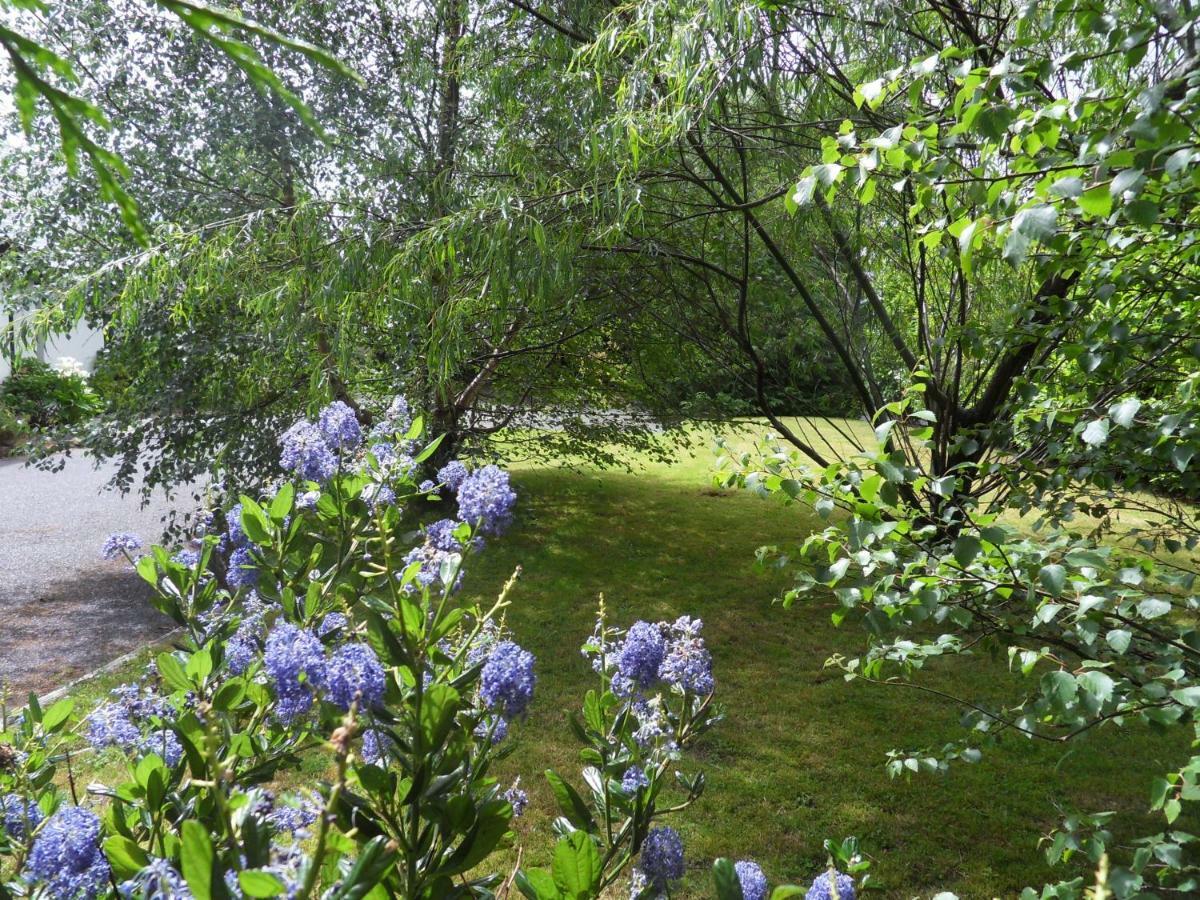Ethan Cottage Killarney Dış mekan fotoğraf