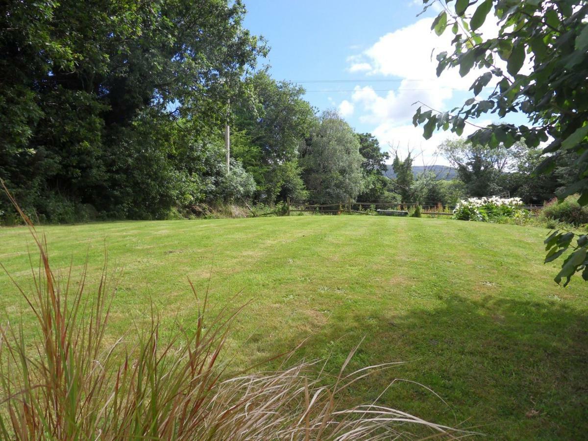 Ethan Cottage Killarney Dış mekan fotoğraf